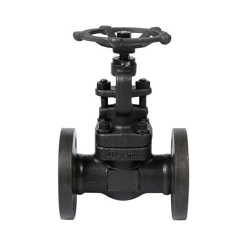 Forged steel flanged globe valve